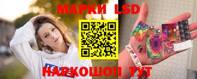 spice Кингисепп