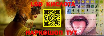 spice Кингисепп