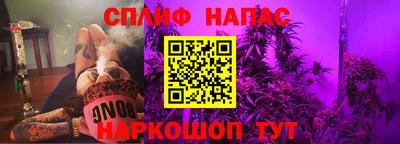 spice Кингисепп