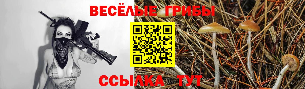 Псилоцибиновые грибы Magic Shrooms Кубинка