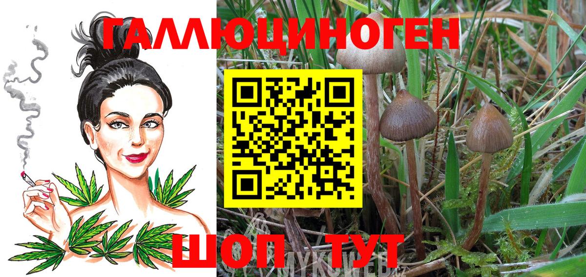 Псилоцибиновые грибы GOLDEN TEACHER  Вход с VPN  Кубинка 